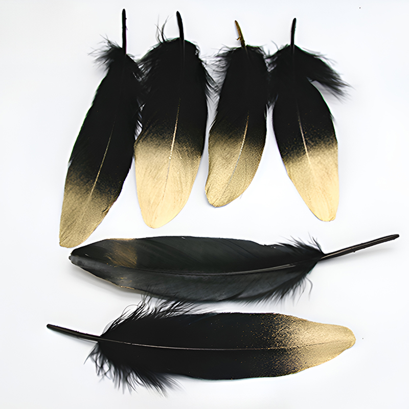 Plumes noires et blanches de 1 - Centerpiece Vase Tall avis et prix